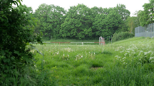 Waldsolms-Weiperfelden, Dietrich, 2023