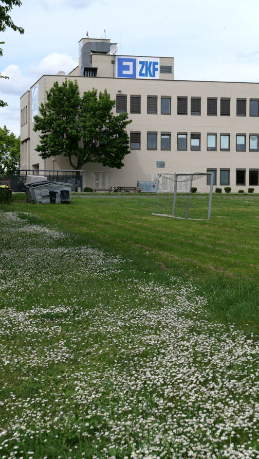 Friedberg, Hessen, Dietrich, 2024