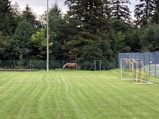 Farchant, Oberbayern, 2025