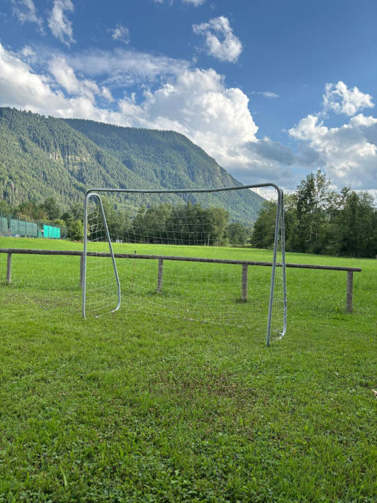 Ohlstadt, Oberbayern, Viola, 2025
