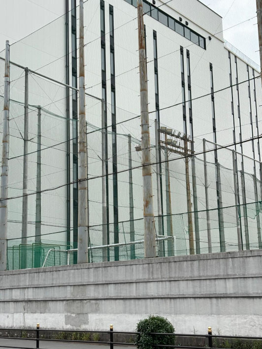 Osaka, Japan, Viola, 2025