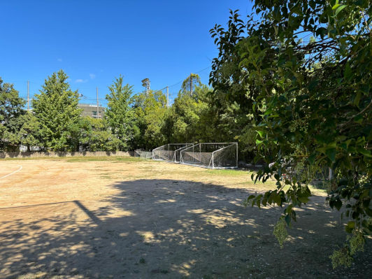 Kyoto, Japan, Viola, 2025